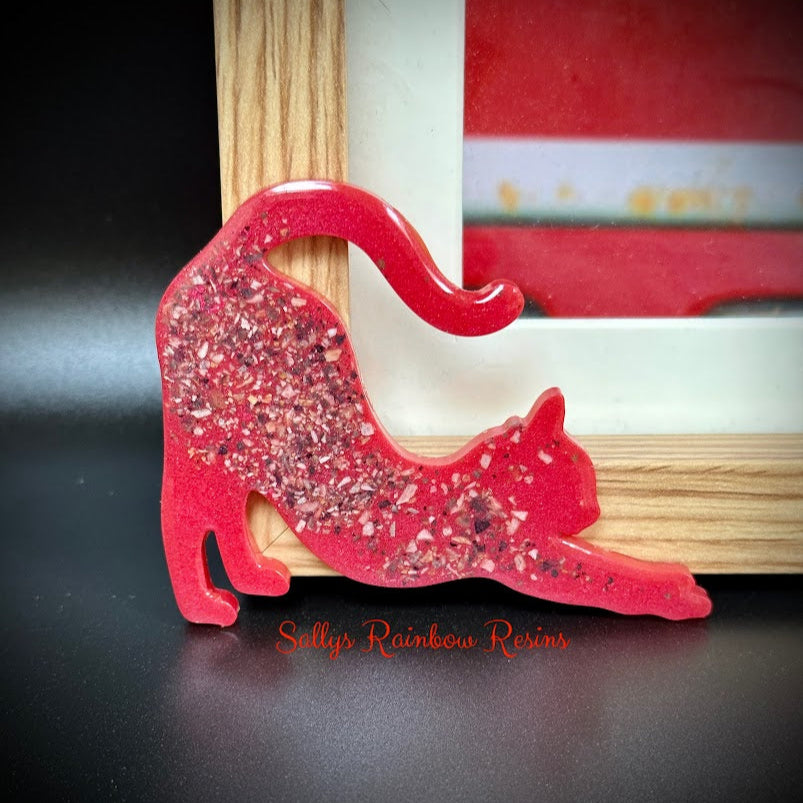 Cat Photo Frame Memento - 4 designs