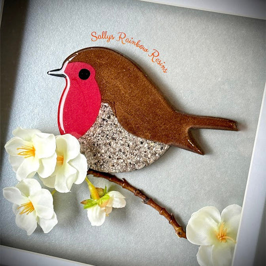 Framed Memorial Ashes / Hair Robin