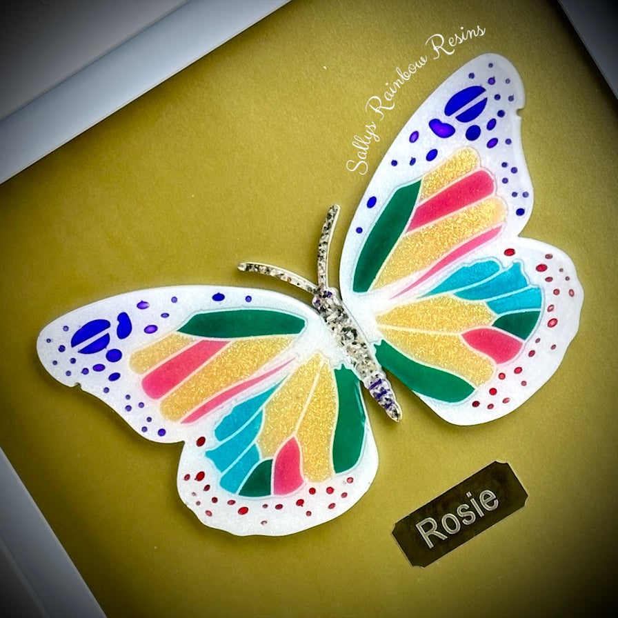 Framed Memorial Ashes / Hair Large Butterfly