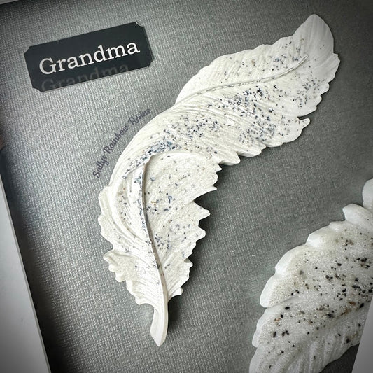 Framed Memorial Ashes Double Feather