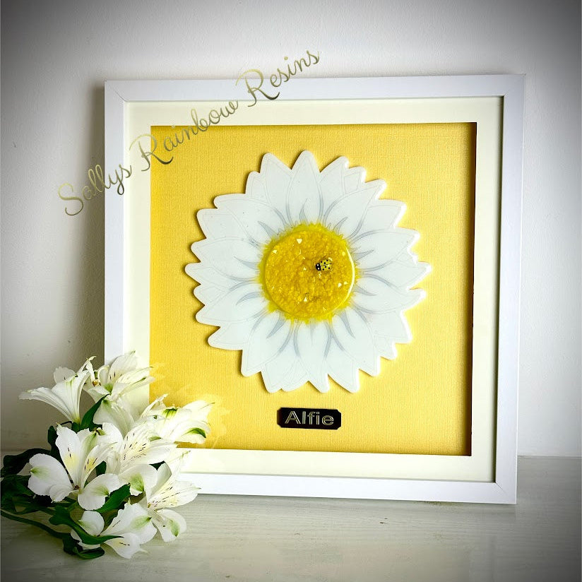 Framed Memorial Ashes/Hair Daisy