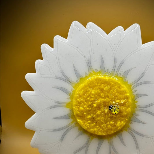 Framed Memorial Ashes/Hair Daisy
