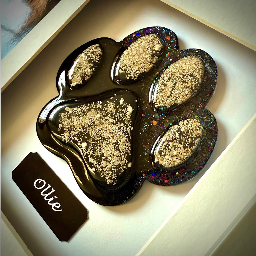 Photo Framed Memorial Ashes/Hair Paw