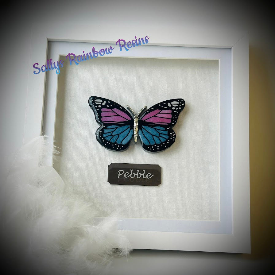 Framed Memorial Ashes / Hair Small Butterfly
