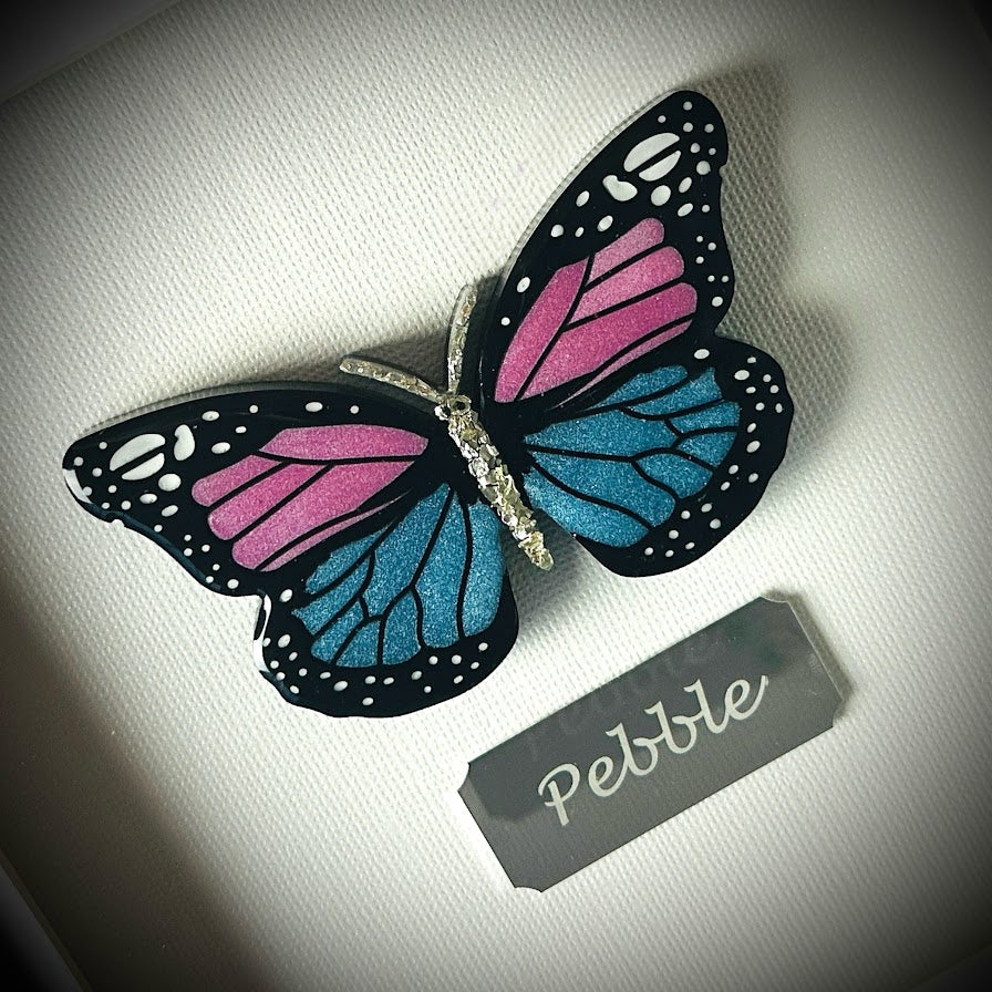 Framed Memorial Ashes / Hair Small Butterfly