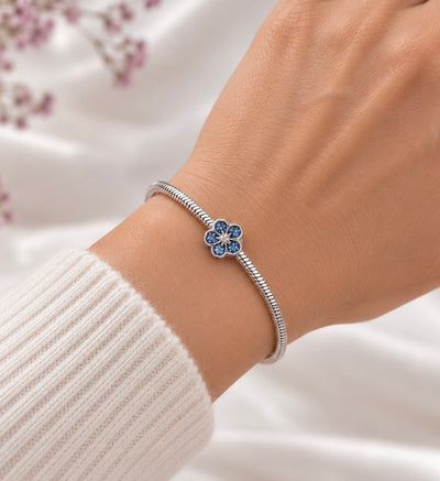 Bracelet Charms