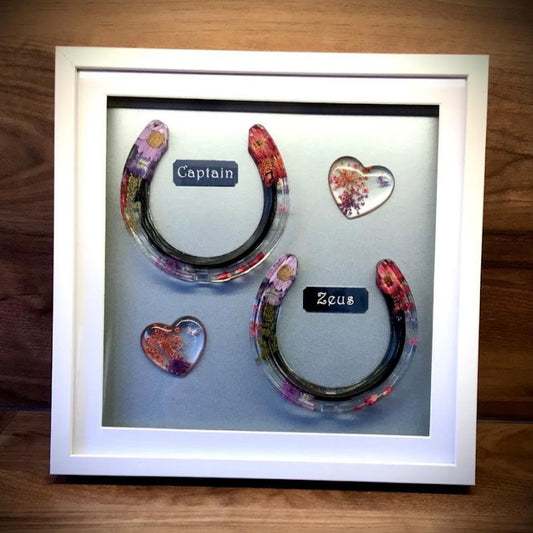 Framed Memorial Ashes / Hair Double Horseshoe
