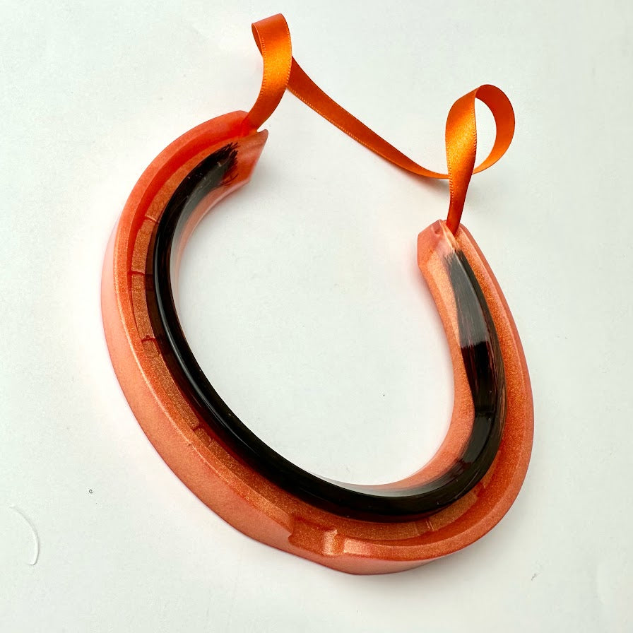 Single Horsehair / Ashes Horseshoe