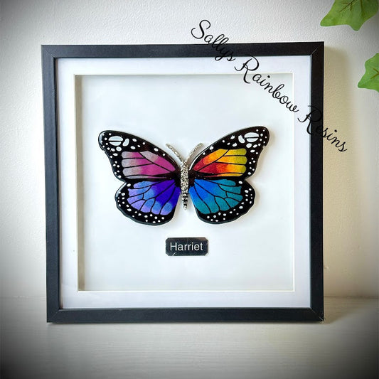 Framed Memorial Ashes / Hair Large Butterfly