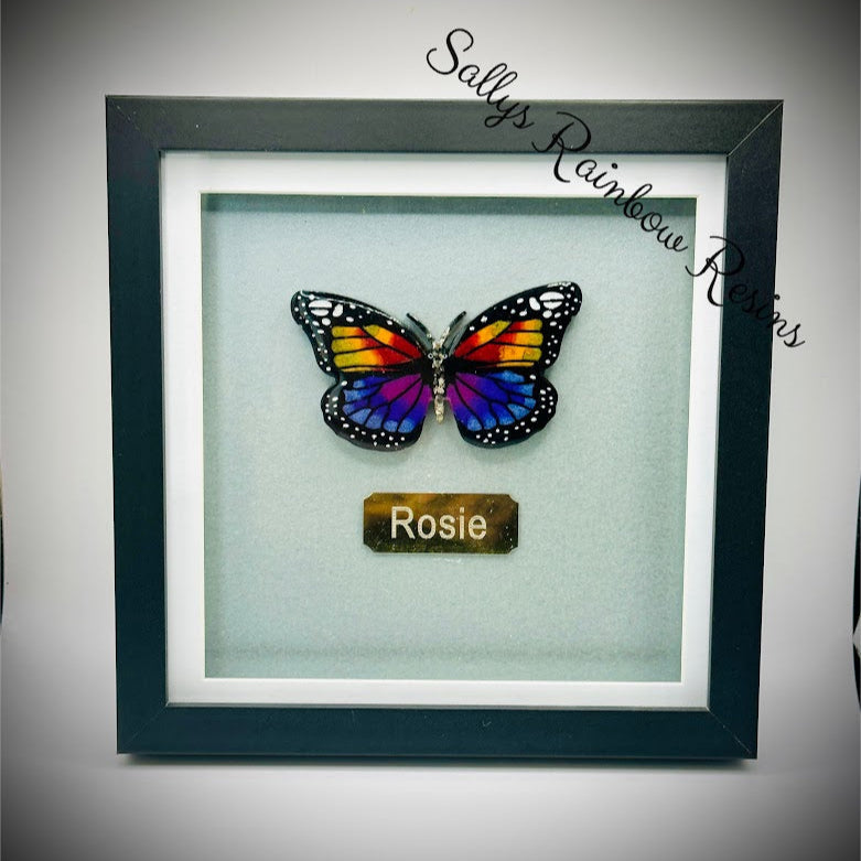 Framed Memorial Ashes / Hair Small Butterfly