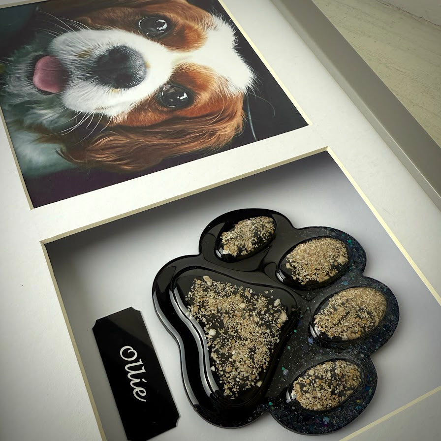 Photo Framed Memorial Ashes/Hair Paw