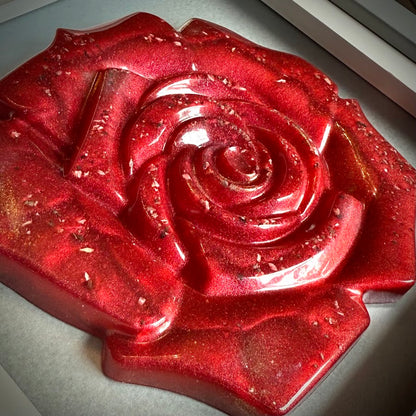 Framed Memorial Ashes/Hair Eternal Rose