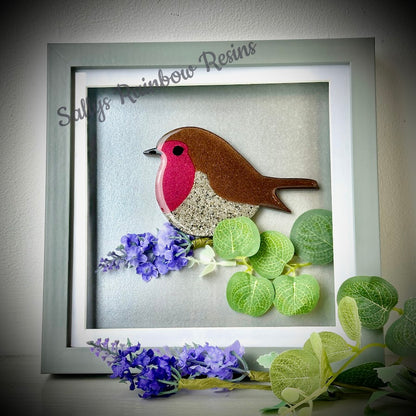 Framed Memorial Ashes / Hair Robin