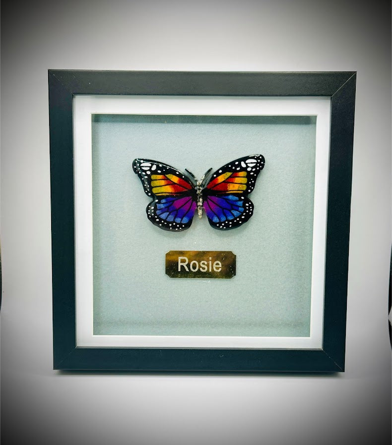 Framed Memorial Ashes / Hair Small Butterfly