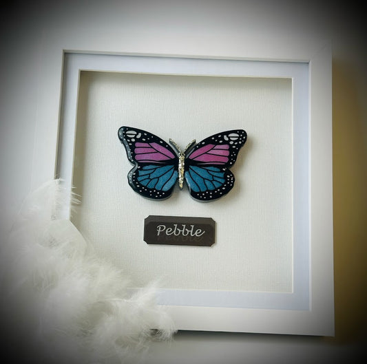 Framed Memorial Ashes / Hair Small Butterfly