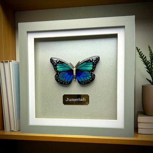 Framed Memorial Ashes / Hair Small Butterfly