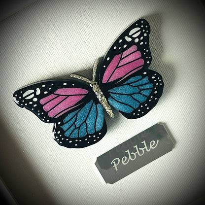 Framed Memorial Ashes / Hair Small Butterfly