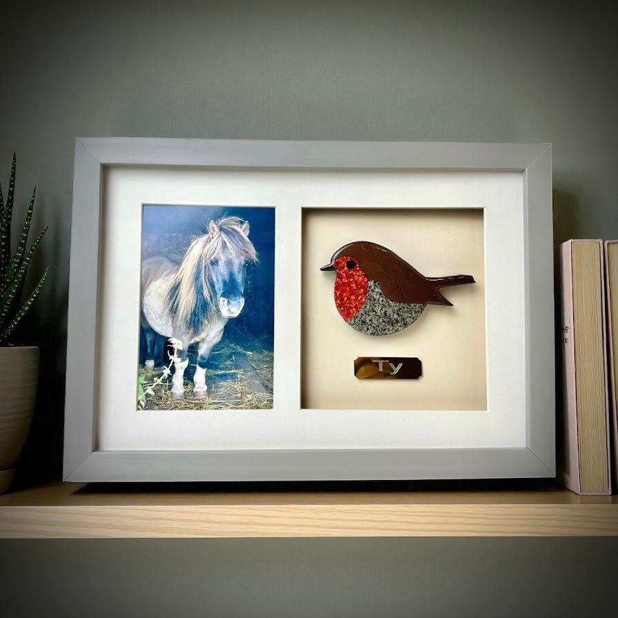 Photo Framed Memorial Ashes/Hair Robin